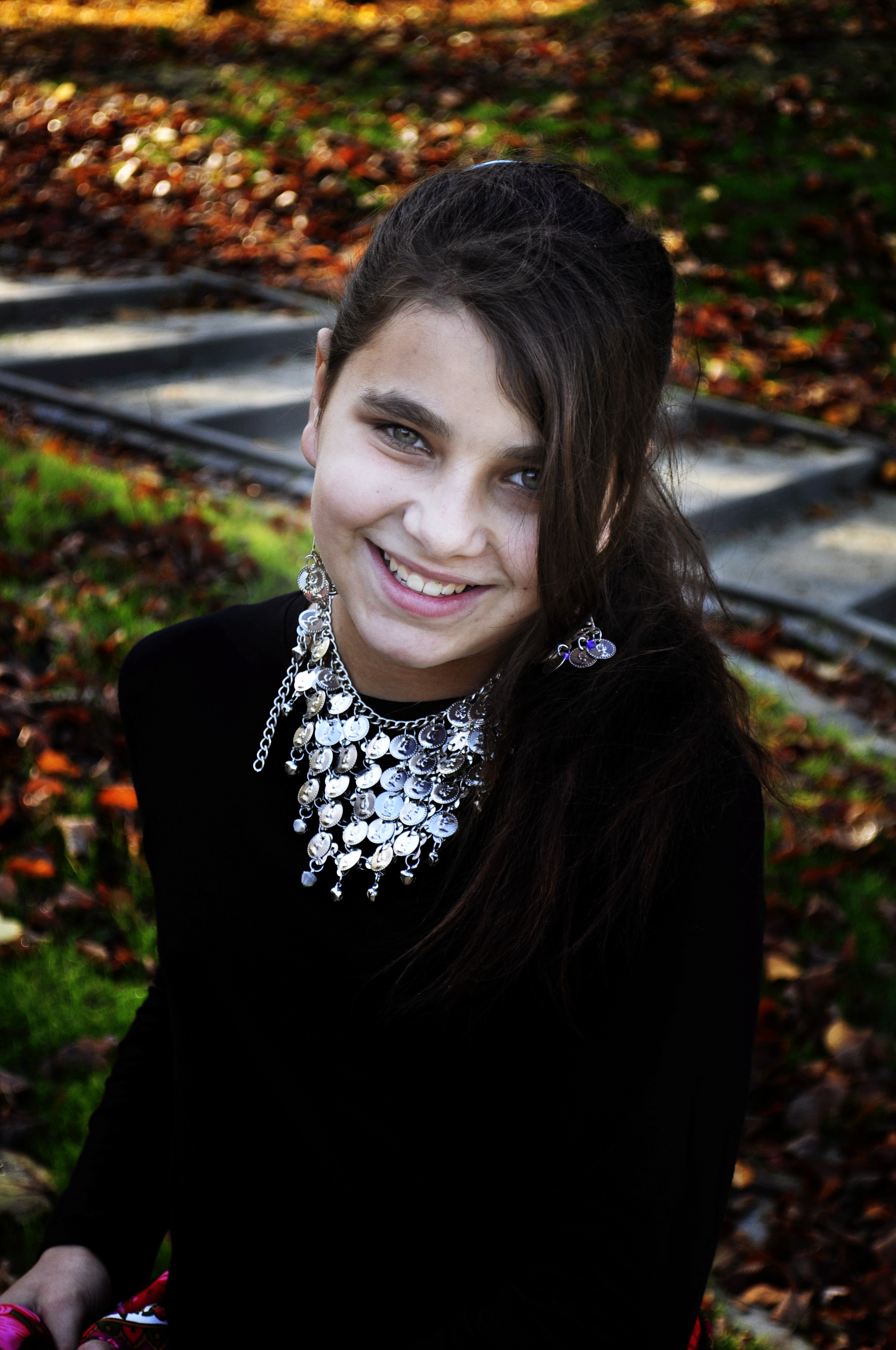Obraz 227