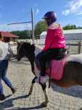 IMG-20210921-WA0015
