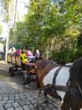 IMG-20210921-WA0026