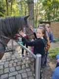 IMG-20210921-WA0046